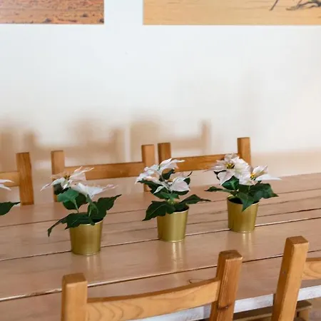 Apartamento Assuncao Malveira House Cascais